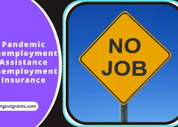 Pandemic Unemployment Assistance Unemployment Insurance