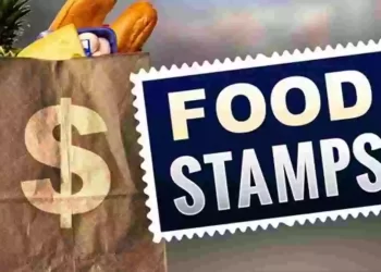 How to get a free food stamp phone