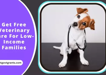 Get Free Veterinary Care For Low-Income Families