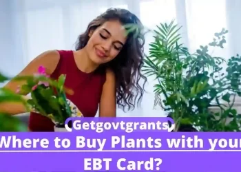 Where to Buy Plants with your EBT Card?