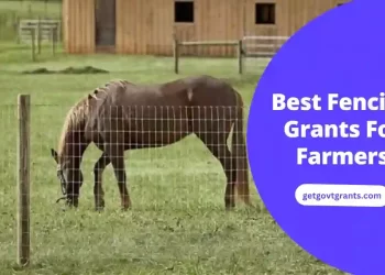 Best Fencing Grants For Farmers