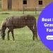 Best Fencing Grants For Farmers