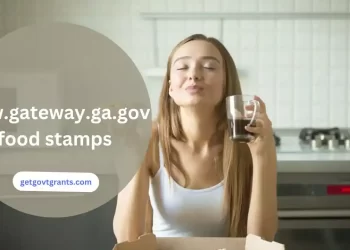 www.gateway.ga.gov food stamps