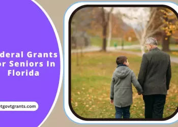 Federal Grants For Seniors In Florida