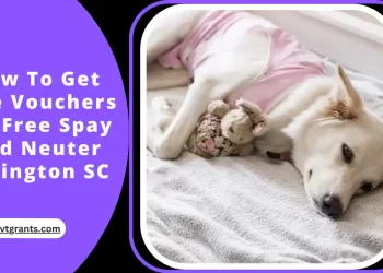 How To Get Free Vouchers For Free Spay And Neuter Lexington SC