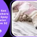 How To Get Free Vouchers For Free Spay And Neuter Lexington SC