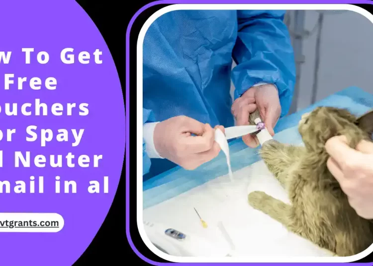 How To Get Free Vouchers For Spay and Neuter by mail in al