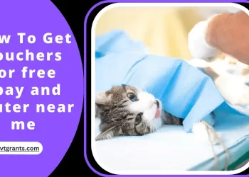 How To Get vouchers for free spay and neuter near me