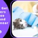 How To Get vouchers for free spay and neuter near me